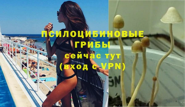 apvp Михайлов