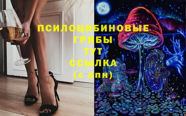 спайс Баксан