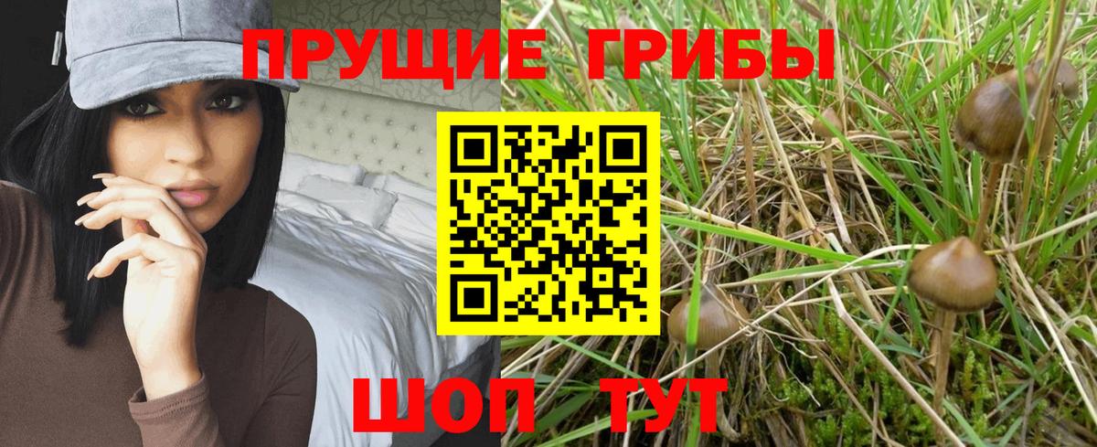 Псилоцибиновые грибы ЛСД  Галлюциногенные грибы Psilocybine cubensis  как найти закладки  Вход с VPN  Кисловодск 