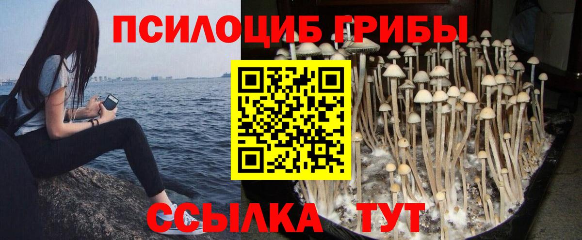 Псилоцибиновые грибы Magic Shrooms  Кисловодск 