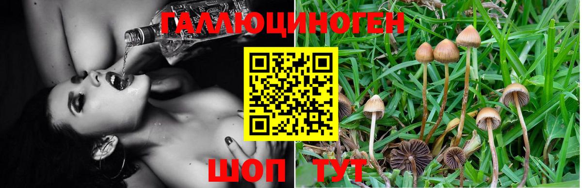 Альфа ПВП  MDMA  Вход с VPN  Где продают наркотики?  Cocaine  NBOMe  Мефедрон  Бошки Шишки  Плюхи  Кисловодск  Плюхи 