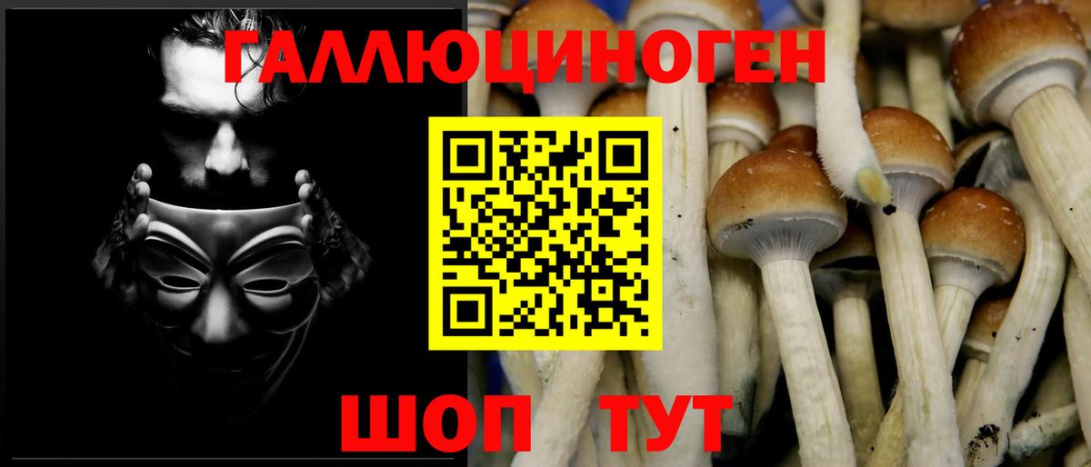 Галлюциногенные грибы Cubensis Кисловодск